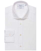 CCCHLLABG025019WHITE