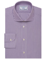 CCCHLLPBG024994VIOLET