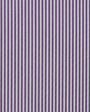 CCCHLLPBG024994VIOLET