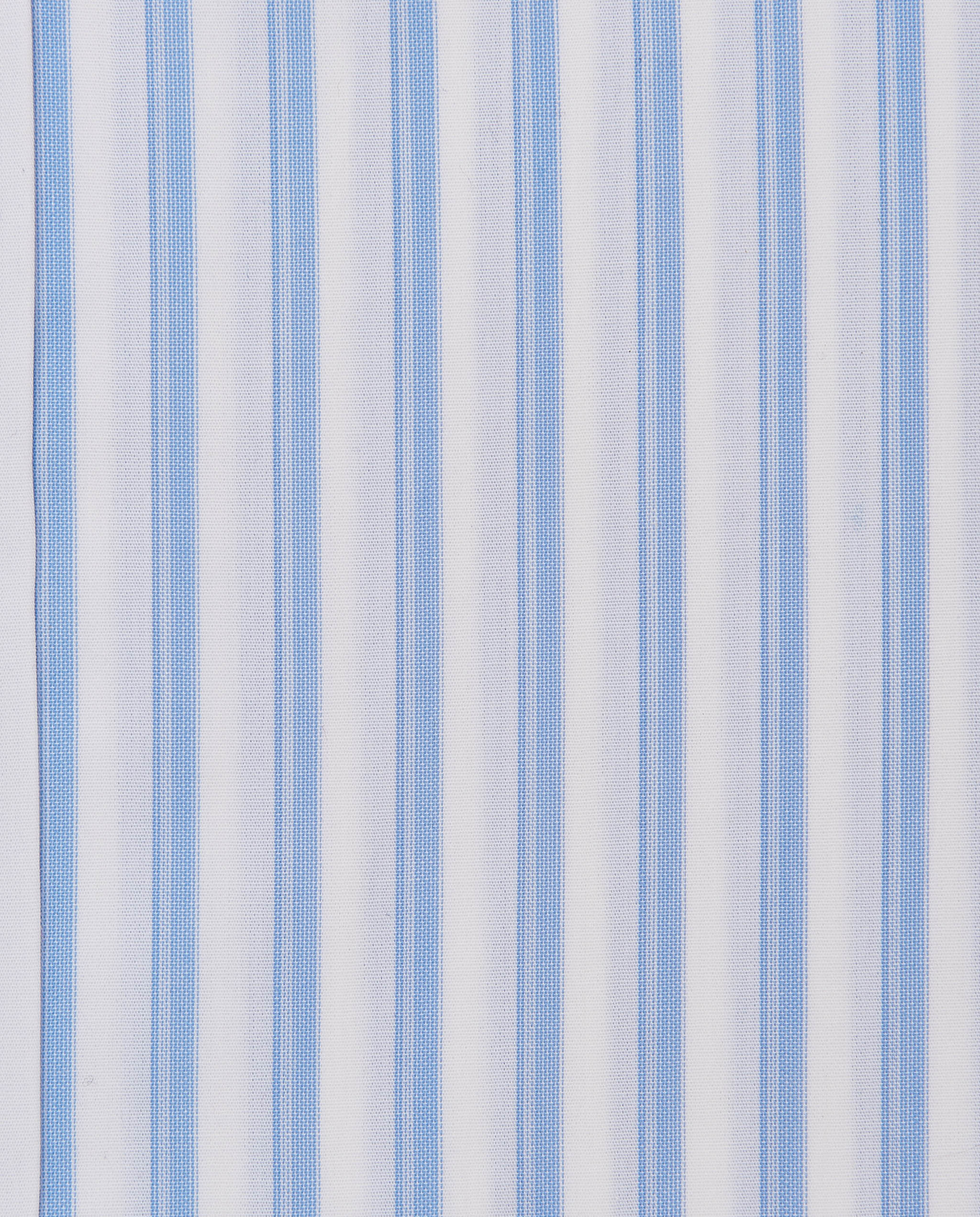 CCCHLLPBG028075LIGHT BLUE