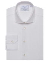 CCCHLLPBG028133WHITE