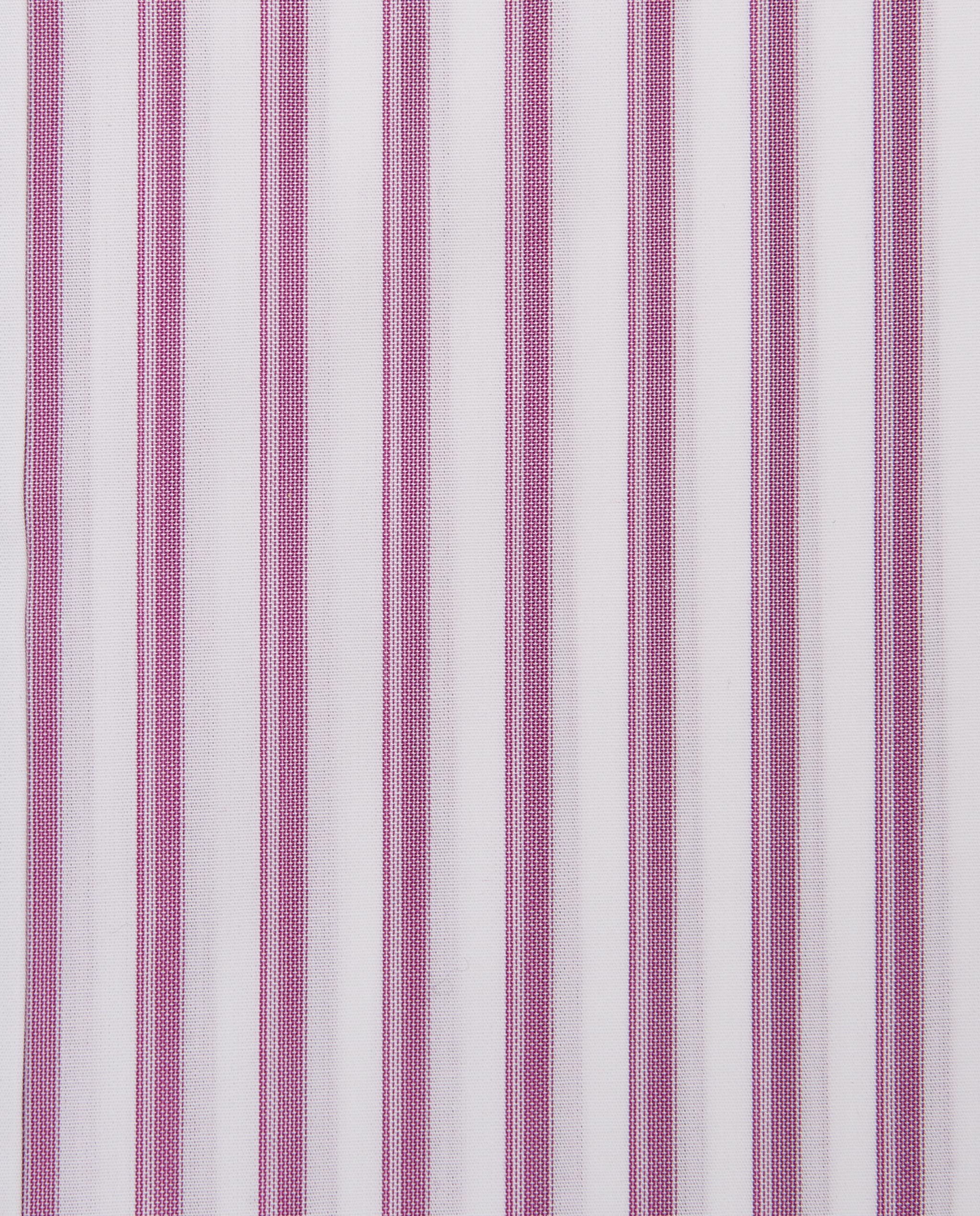 CCCRLLPBG028077PURPLE