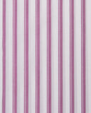 CCCRLLPBG028077PURPLE