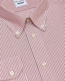 CCNQLKABG027804ORANGE