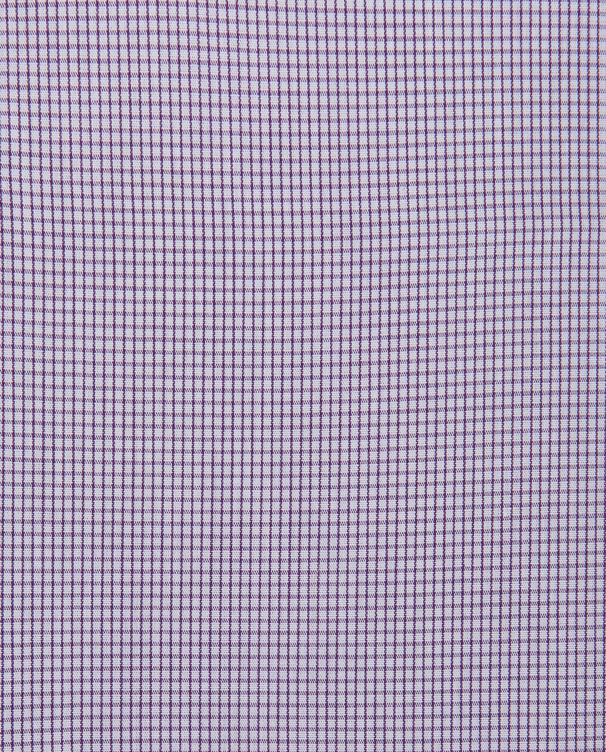 CCNQLKPBG027491VIOLET