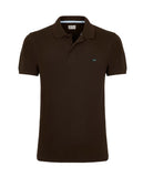 CDPOLKPBG000P80BROWN