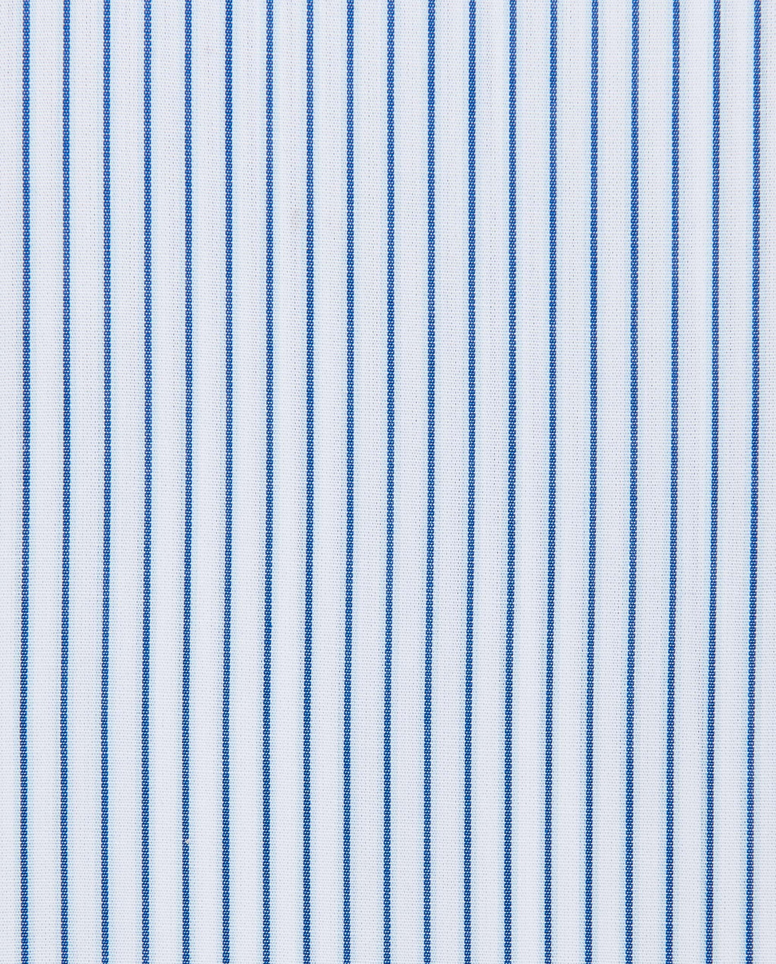 CCCHLKPBG027506BLUE