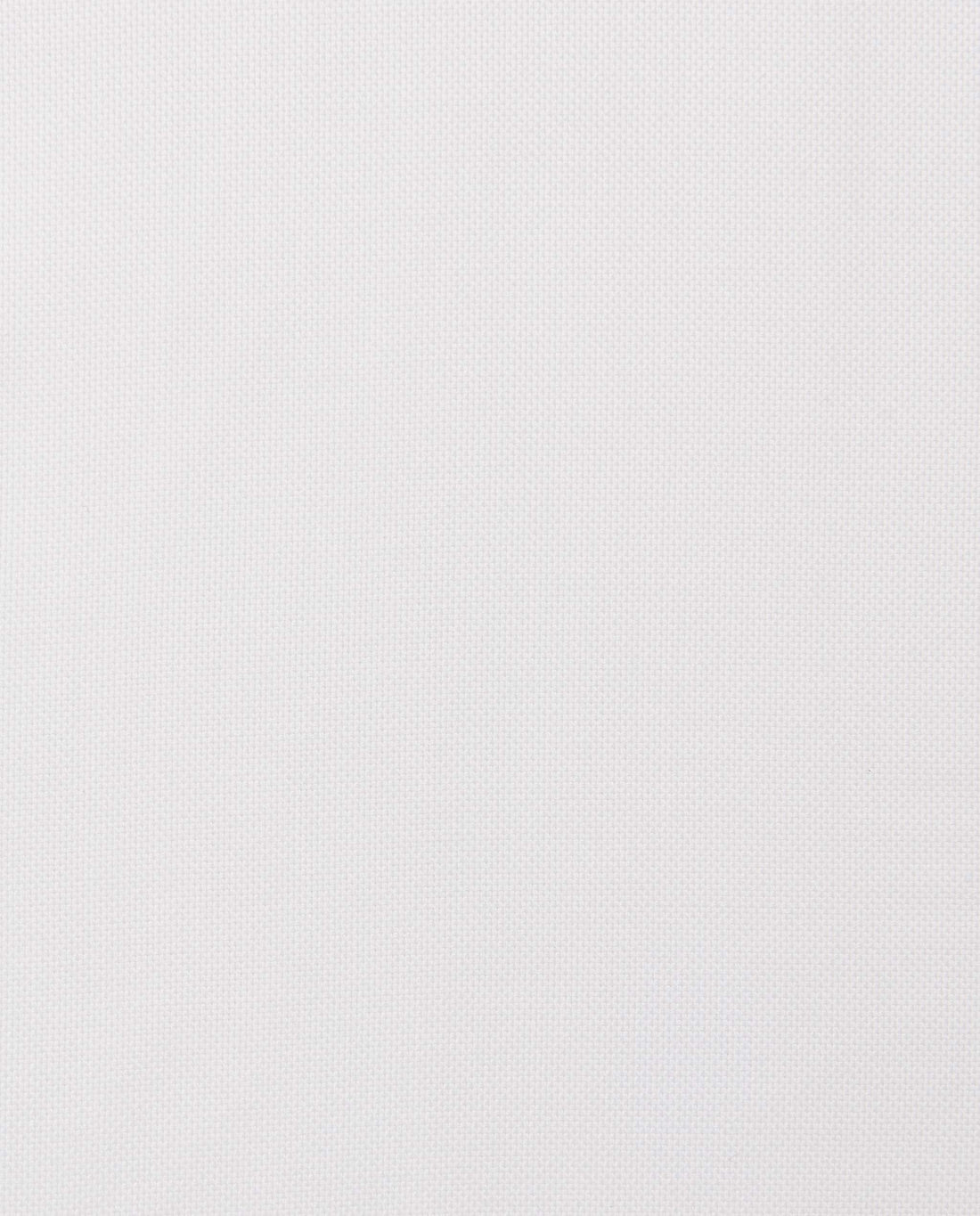 CCCHLLABG025019WHITE