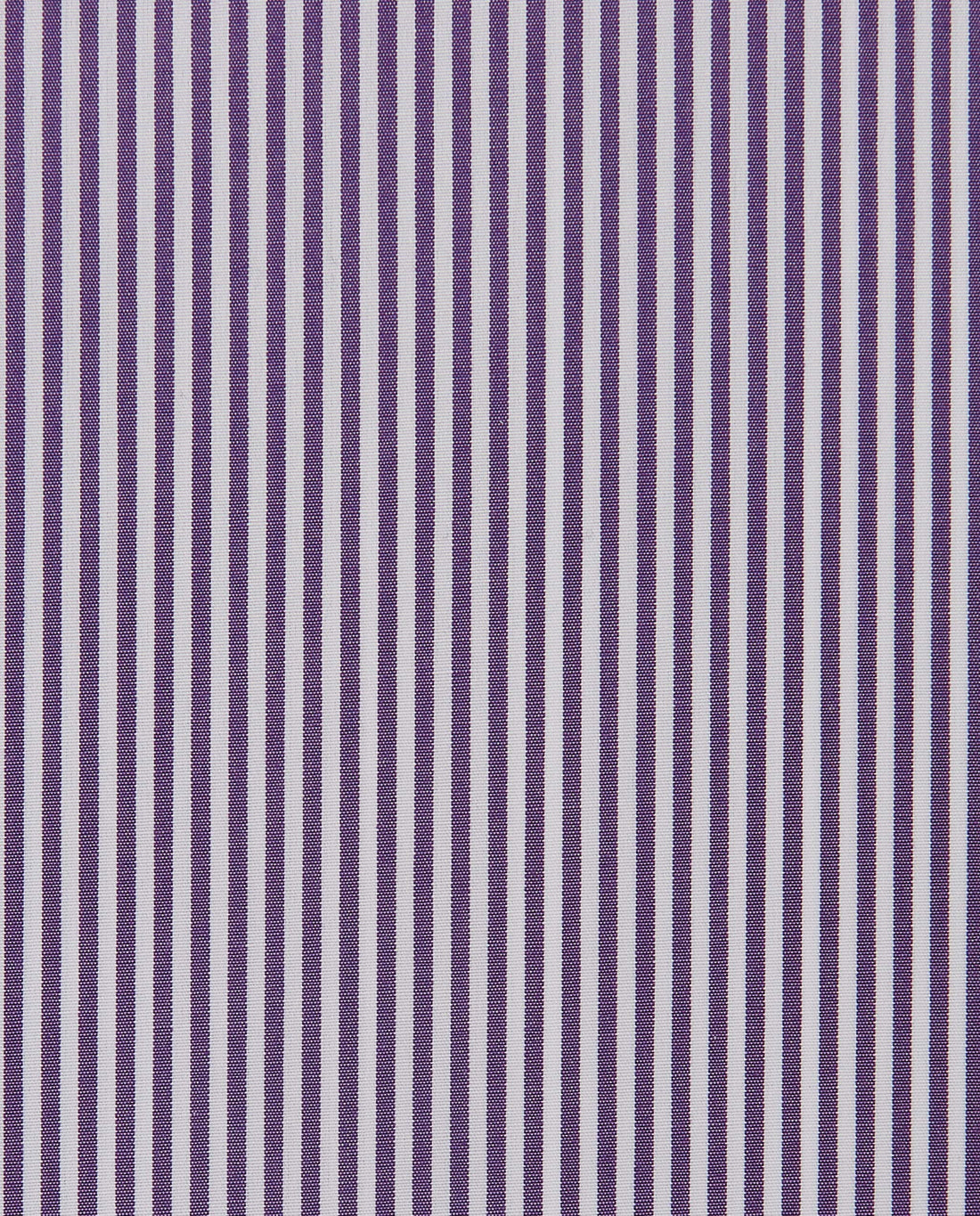 CCCHLLPBG024994VIOLET