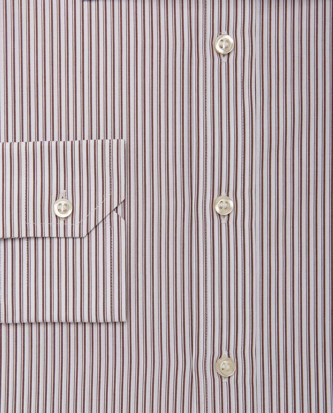 CCCHLLPBG028054DARK BROWN