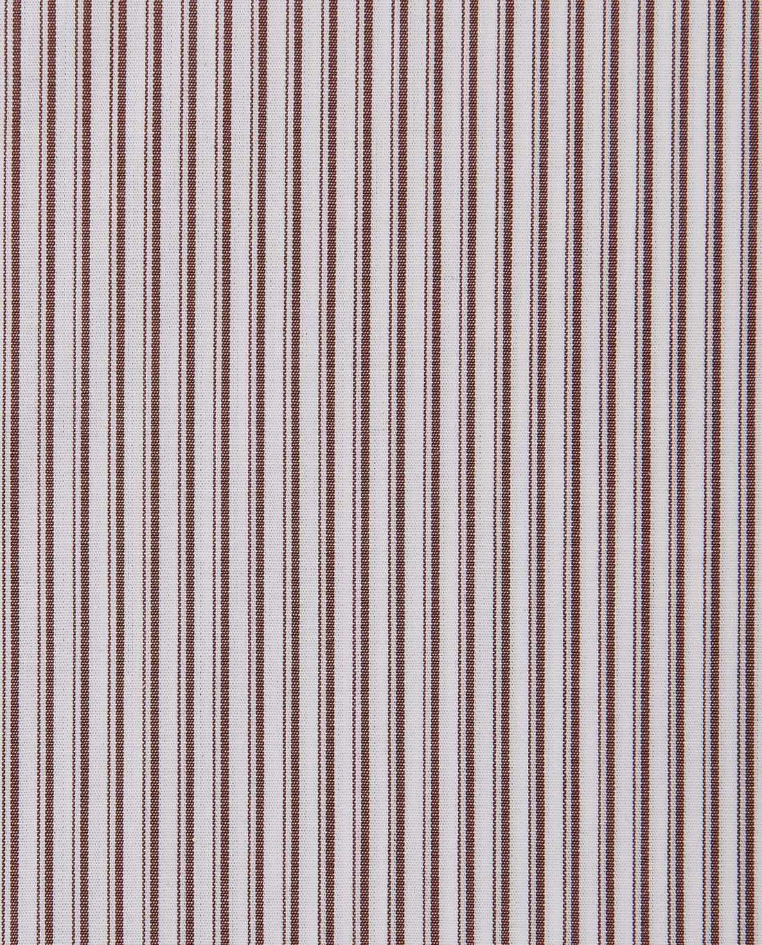 CCCHLLPBG028054DARK BROWN