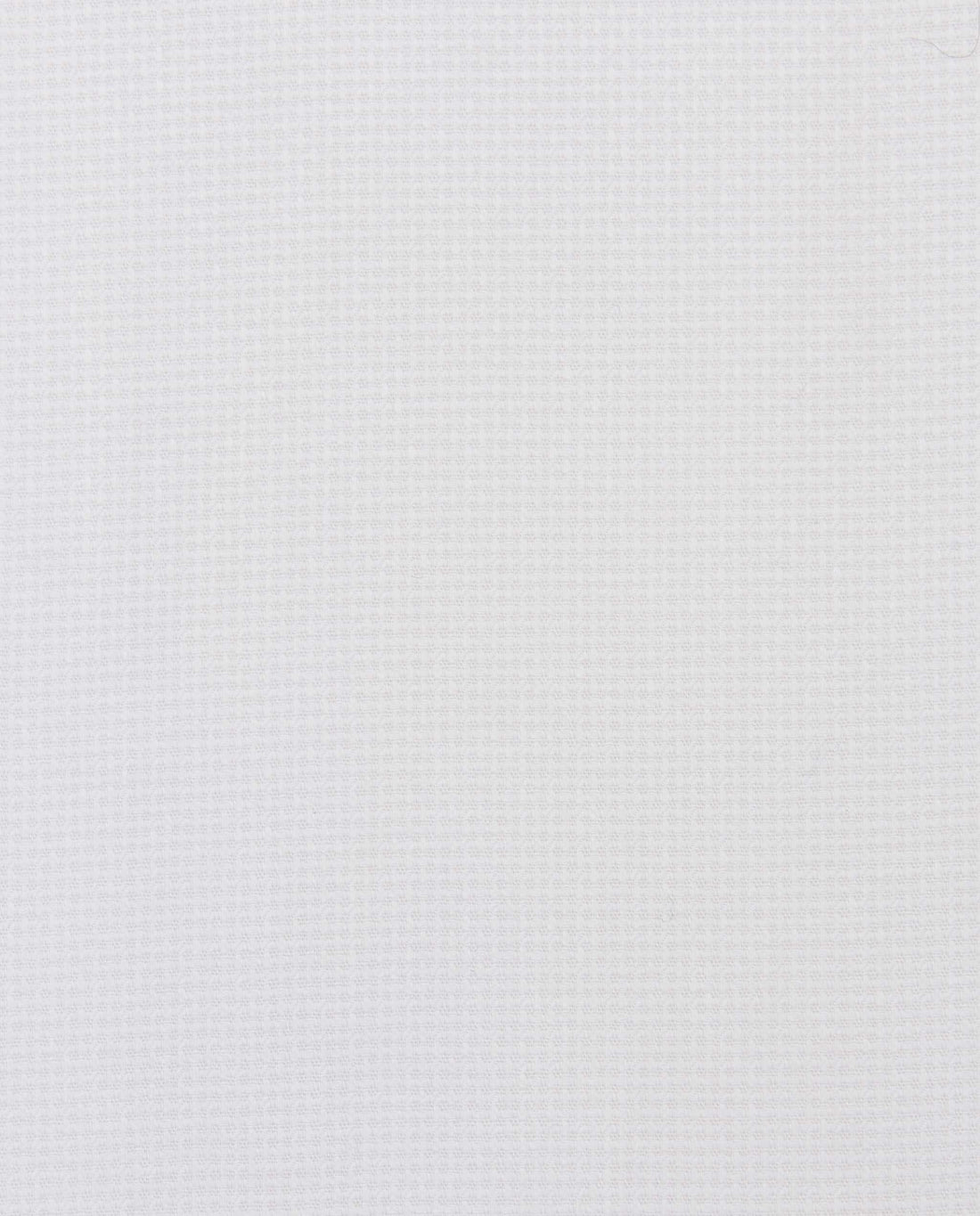 CCCHLLPBG028133WHITE