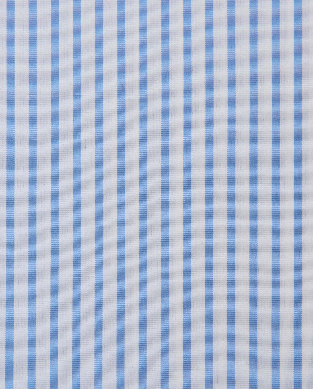 CCCQLLPBG024995LIGHT BLUE