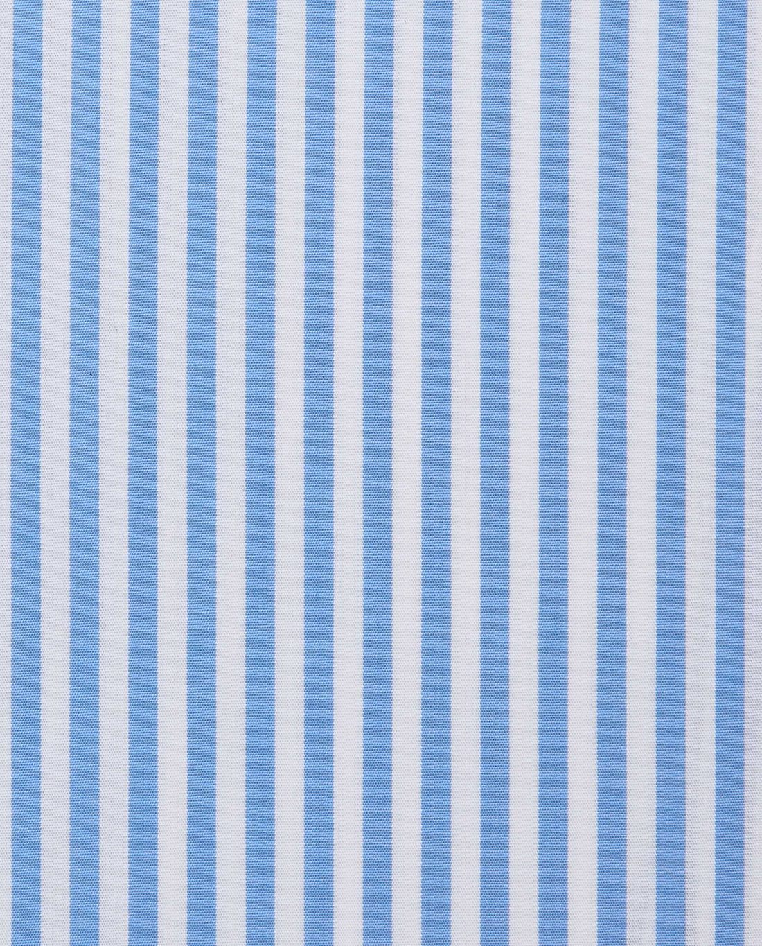 CCCQLLPBG028155LIGHT BLUE