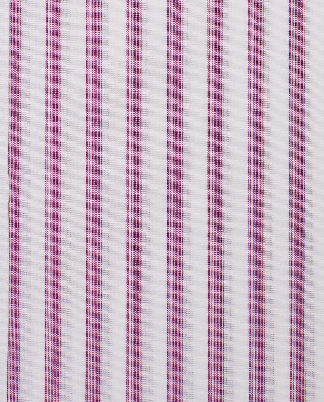 CCCRLLPBG028077PURPLE