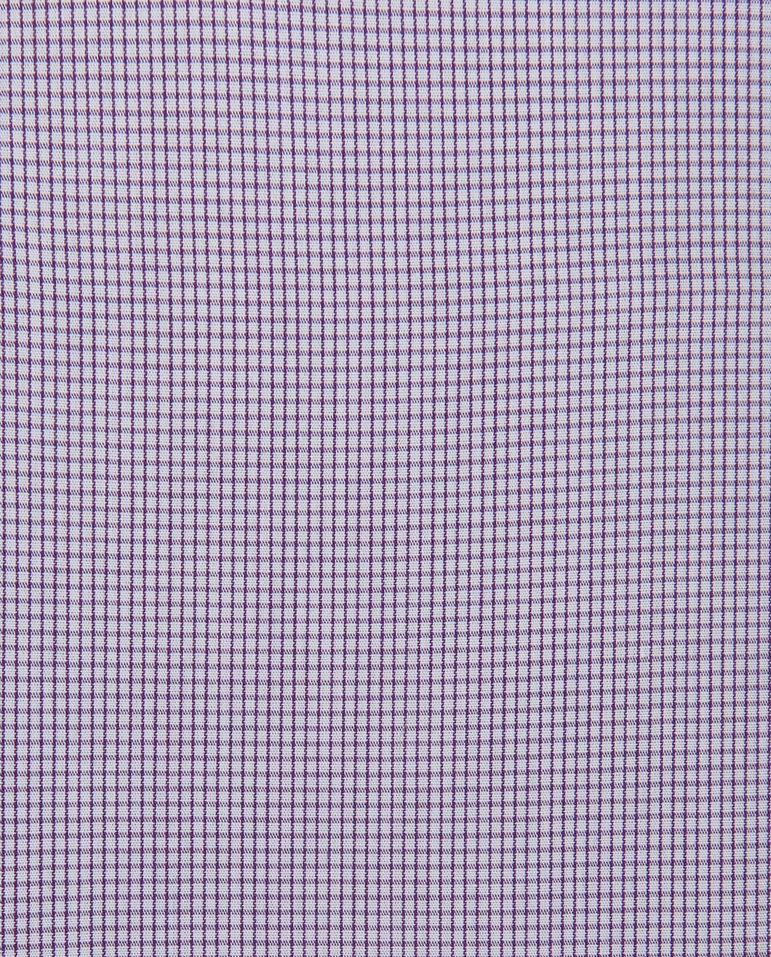 CCNQLKPBG027491VIOLET